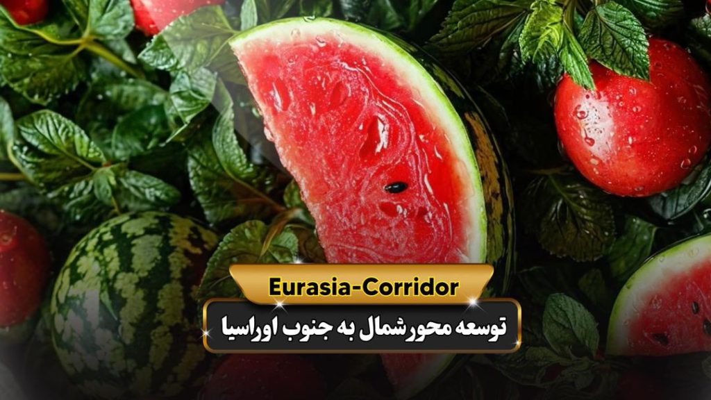 حمل بارهندوانه به روسیه شرکت توسعه محور شمال به جنوب اوراسیا حمل بار به روسیه حمل بار از روسیه