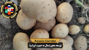 صادرات سیب زمینی به روسیه شرکت توسعه محور شمال به جنوب اوراسیا حمل بار به روسیه حمل بار از روسیه صادرات و واردات روسیه