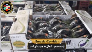 صادرات بادمجان به روسیه شرکت توسعه محور شمال به جنوب اوراسیا حمل بار به روسیه حمل بار از روسیه صادرات و واردات روسیه