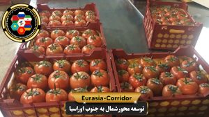 صادرات گوجه فرنگی به روسیه
شرکت توسعه محور شمال به جنوب اوراسیا
حمل بار به روسیه
حمل بار از روسیه
صادرات و واردات روسیه