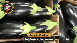 صادرات بادمجان به روسیه شرکت توسعه محور شمال به جنوب اوراسیا حمل بار به روسیه حمل بار از روسیه صادرات و واردات روسیه