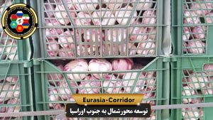 حمل بار سیر به روسیه شرکت توسعه محور شمال به جنوب اوراسیا حمل بار به روسیه حمل بار از روسیه