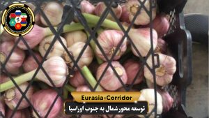 حمل بار سیر به روسیه شرکت توسعه محور شمال به جنوب اوراسیا حمل بار به روسیه حمل بار از روسیه 