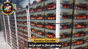 صادرات گوجه فرنگی به روسیه
شرکت توسعه محور شمال به جنوب اوراسیا
حمل بار به روسیه
حمل بار از روسیه
صادرات و واردات روسیه