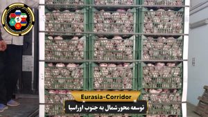 حمل بار سیر به روسیه شرکت توسعه محور شمال به جنوب اوراسیا حمل بار به روسیه حمل بار از روسیه