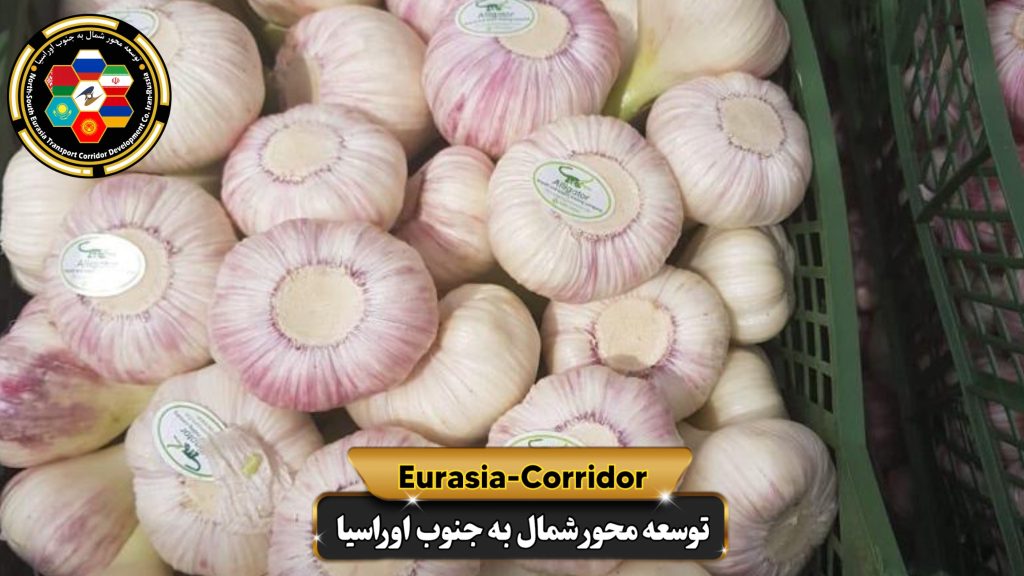 حمل بار سیر به روسیه شزکت توسعه محور شمال به جنوب اوراسیا حمل بار به روسیه حمل بار از روزسیه