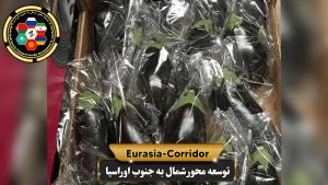 صادرات بادمجان به روسیه شرکت توسعه محور شمال به جنوب اوراسیا حمل بار به روسیه حمل بار از روسیه صادرات و واردات روسیه