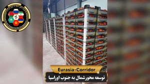 صادرات گوجه فرنگی به روسیه
شرکت توسعه محور شمال به جنوب اوراسیا
حمل بار به روسیه
حمل بار از روسیه
صادرات و واردات روسیه