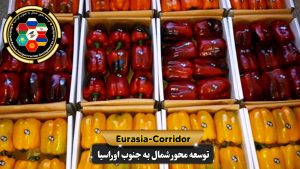حمل فلفل دلمه ای به روسیه حمل بار به روسیه حمل بار از روسیه شرکت توسعه محور شمال به جنوب اوراسسیا