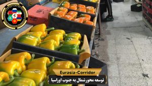 حمل فلفل دلمه ای به روسیه حمل بار به روسیه حمل بار از روسیه شرکت توسعه محور شمال به جنوب اوراسسیا