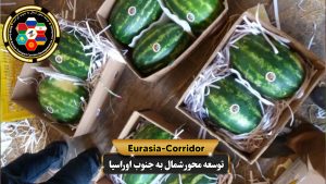 حمل بار هندوانه به روسیه شرکت توسعه محور شمال به جنوب اوراسیا حمل بار به روسیه حمل بار از روسیه 