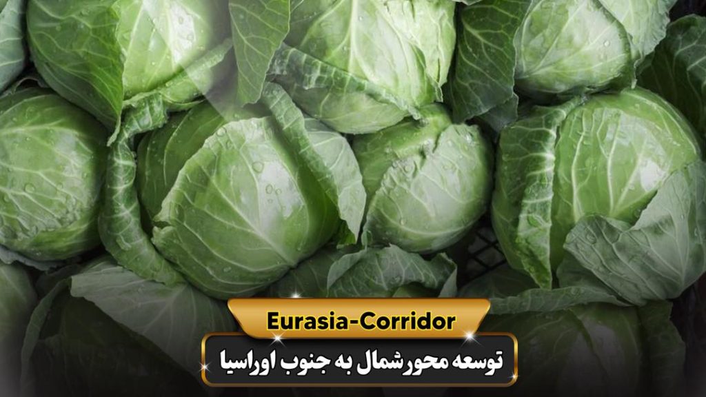 صادرات کلم به روسیه شرکت توسعه محو شمال به جنوب اوراسیا حمل بار به روسیه حمل بار از روسیه صادرات و واردات روسیه