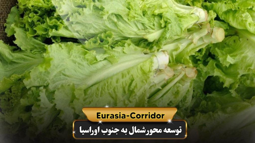 صادرات کاهو به روسیه شرکت توسعه محور شمال به جنوب اوراسیا حمل بار به روسیه حمل بار از روسیه صادرات و واردات روسیه