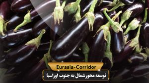 صادرات بادمجان به روسیه شرکت توسعه محور شمال به جنوب اوراسیا حمل بار به روسیه حمل بار از روسیه صادرات و واردات روسیه