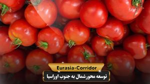 صادرات گوجه فرنگی به روسیه شرکت توسعه محور شمال به جنوب اوراسیا حمل بار به روسیه حمل بار از روسیه صادرات و واردات روسیه