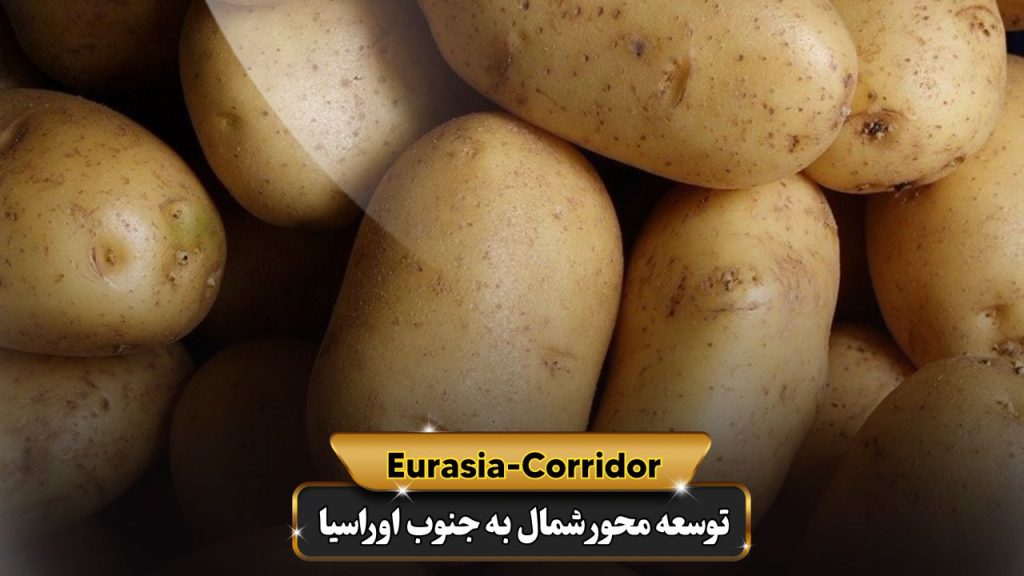 صادرات سیب زمینی به روسیه شرکت توسعه محور شمال به جنوب اوراسیا حمل بار به روسیه حمل بار از روسیه صادرات و واردات روسیه