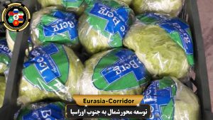صادرات کلم به روسیه شرکت توسعه محو شمال به جنوب اوراسیا حمل بار به روسیه حمل بار از روسیه صادرات و واردات روسیه