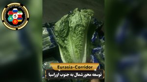 صادرات کاهو به روسیه شرکت توسعه محور شمال به جنوب اوراسیا حمل بار به روسیه حمل بار از روسیه صادرات و واردات روسیه