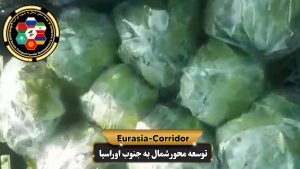 صادرات کلم به روسیه شرکت توسعه محو شمال به جنوب اوراسیا حمل بار به روسیه حمل بار از روسیه صادرات و واردات روسیه