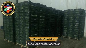 صادرات کلم به روسیه شرکت توسعه محو شمال به جنوب اوراسیا حمل بار به روسیه حمل بار از روسیه صادرات و واردات روسیه