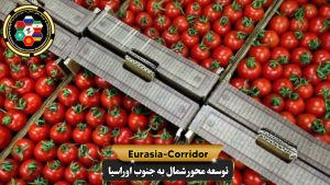 صادرات گوجه فرنگی به روسیه
شرکت توسعه محور شمال به جنوب اوراسیا
حمل بار به روسیه
حمل بار از روسیه
صادرات و واردات روسیه