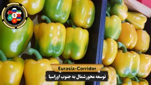 Export and import company developing the North-South Eurasia axis, cargo transportation to Russia, cargo transportation from Russia