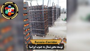 Export and import company developing the North-South Eurasia axis, cargo transportation to Russia, cargo transportation from Russia