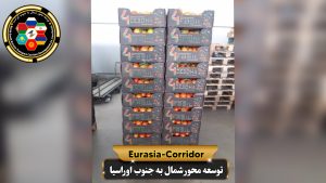 Export and import company developing the North-South Eurasia axis, cargo transportation to Russia, cargo transportation from Russia