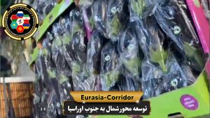 صادرات بادمجان به روسیه شرکت توسعه محور شمال به جنوب اوراسیا حمل بار به روسیه حمل بار از روسیه صادرات و واردات روسیه