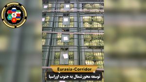 صادرات کلم به روسیه شرکت توسعه محو شمال به جنوب اوراسیا حمل بار به روسیه حمل بار از روسیه صادرات و واردات روسیه