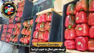 Export and import company developing the North-South Eurasia axis, cargo transportation to Russia, cargo transportation from Russia