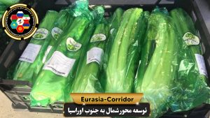 Export and import company developing the North-South Eurasia axis, cargo transportation to Russia, cargo transportation from Russia