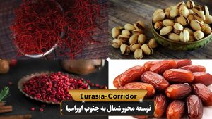 محصولات صادراتی ایران به بازار فودسیتی