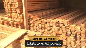 چوب های بریده شده ی روسی آماده صادرات به ایران