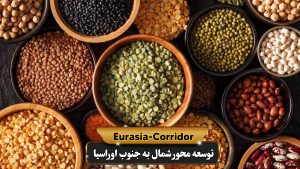 حبوبات پر طرفدار روسی برای واردات حبوبات از روسیه
