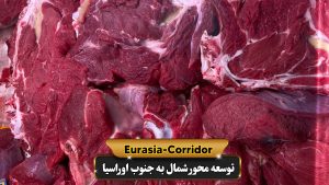 حمل گوشت منجمد به ایران بهترین انتخاب یک تاجر موفق 