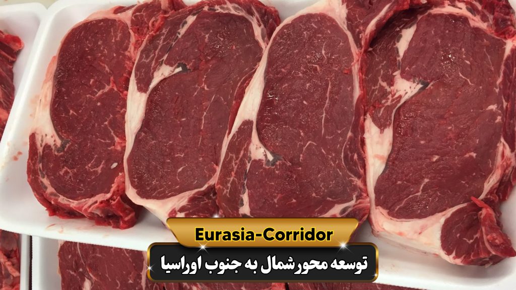 نگهداری گوشت منجمد وارداتی از مغولستان