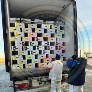 آماده سازی کامیون برای حمل گوشت از مغولستان