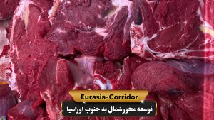 حمل گوشت از مغولستان