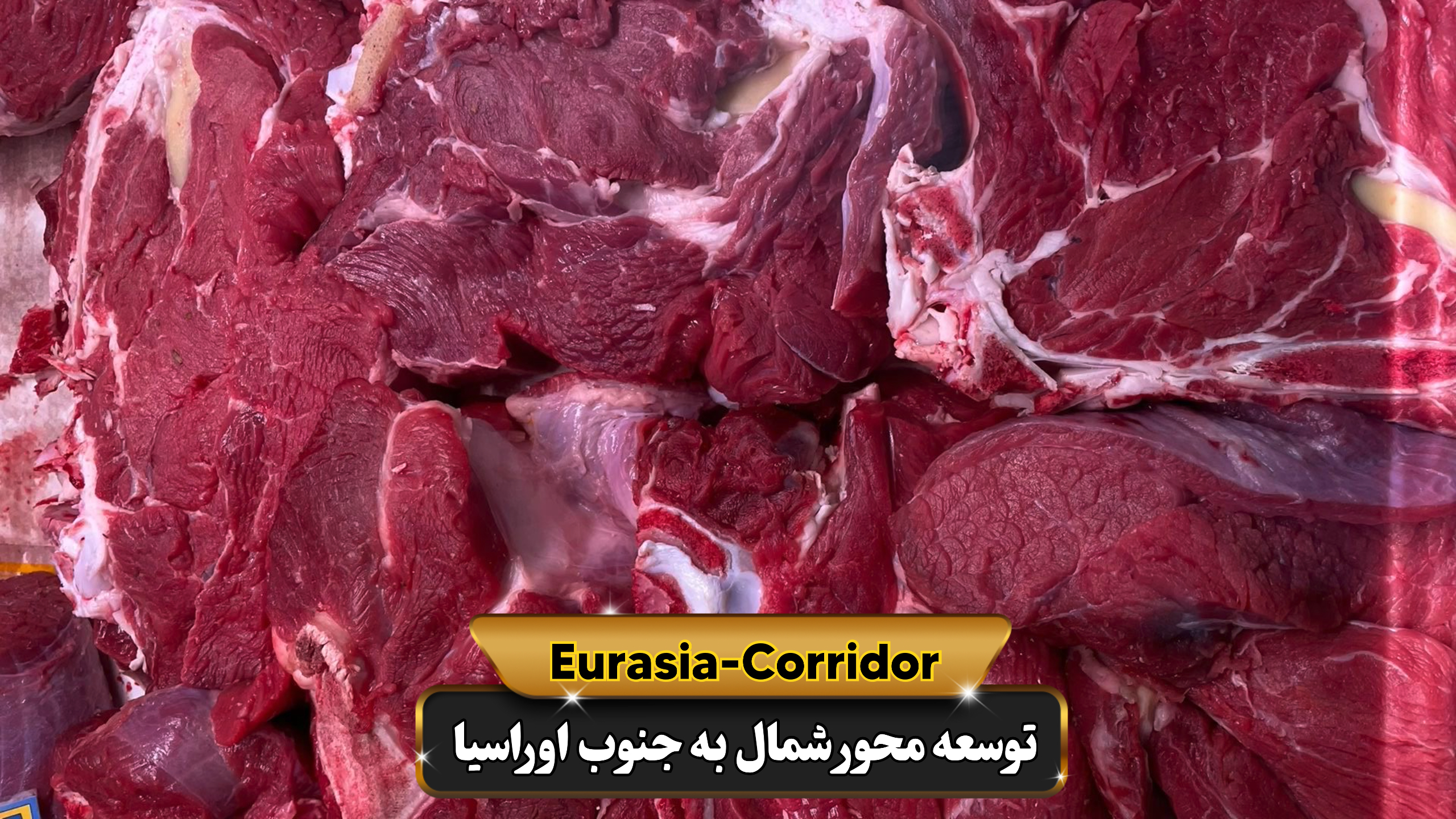 حمل گوشت از مغولستان