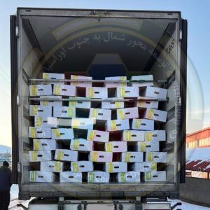 Frozen Meat Transportation from Mongolia to Qatar | Frozen Meat Transportation | Eurasia North–South Corridor Development Company