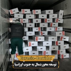 حمل گوشت از مغولستان حمل گوشت منجمد شرکت توسعه محور شمال به جنوب اوراسیا