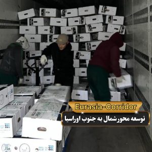 حمل گوشت از مغولستان حمل گوشت منجمد شرکت توسعه محور شمال به جنوب اوراسیا