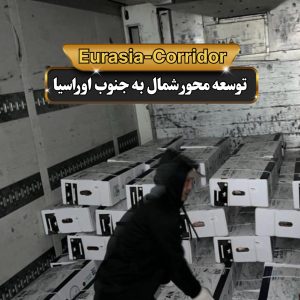 حمل گوشت از مغولستان حمل گوشت منجمد شرکت توسعه محور شمال به جنوب اوراسیا