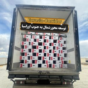 حمل گوشت از مغولستان حمل گوشت منجمد شرکت توسعه محور شمال به جنوب اوراسیا