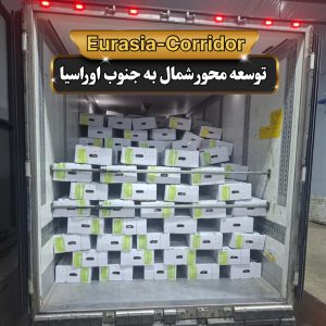 حمل گوشت از مغولستان حمل گوشت منجمد شرکت توسعه محور شمال به جنوب اوراسیا
