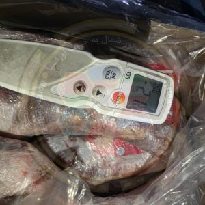 Meat Transportation from Mongolia | Frozen Meat Transportation | Eurasia North–South Corridor Development Company